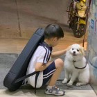 主人