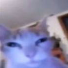 Lvnaan