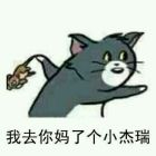 杰瑞和汤姆永远是好朋友.j