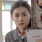 帆船与海鸥