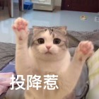 雷建耀