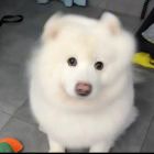 一叶の秋君莫笑