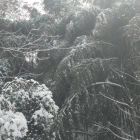 须臾，