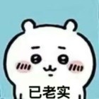 乱码君
