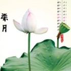 柒月