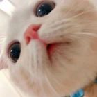 ※蘇~生™✔