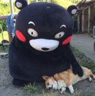 ~w~