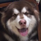 李二狗