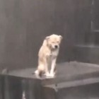 醉人自醉.
