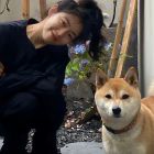 龙马潭吴奇隆
