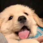 十月のクリーム