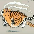 美国老舅