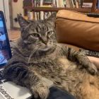 妖怪-TXvuPq43WxSJn1jD