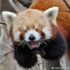 扎心了，老铁