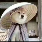 （；￣ェ￣）猴赛雷