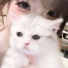 ꧁༺夜༒辰༻꧂