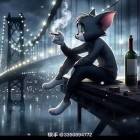 杨小达?(单)