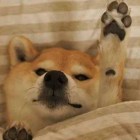 神话