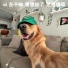 qquser021cc7d7861ed6ba