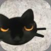 sasi