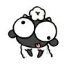 fan55355
