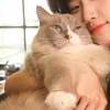 31459336**@qq.com