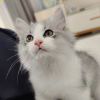 145260**@qq.com