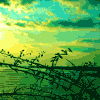 10594072**@qq.com
