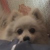 25595849**@qq.com