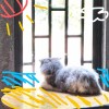 阿仙_AX