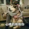 头疼小哥