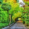 小胖胖