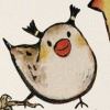 qiuyeye
