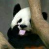 无妨