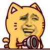 xiejinchen84