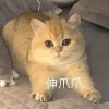 liu200011105