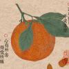 云岫出的个人空间