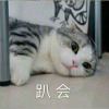 生生的钢琴谱