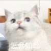 Anubis (jxr  喵～?)的钢琴谱