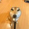贯彻落实社会主义和谐的饭