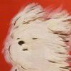 太阳