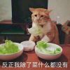 狙击